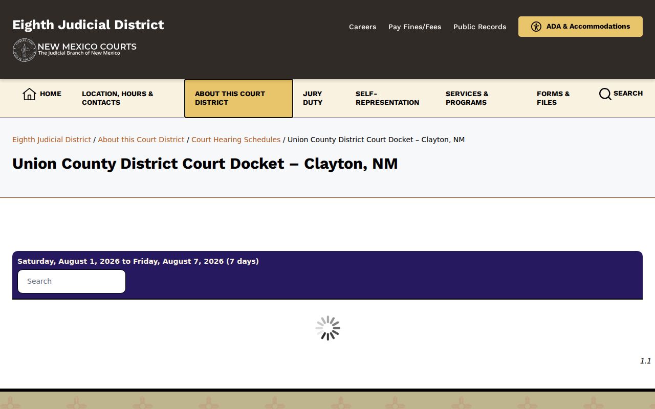 Union County criminal court case docket page